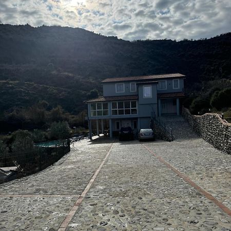Qyteza Guest House & Camping Shkodër Buitenkant foto