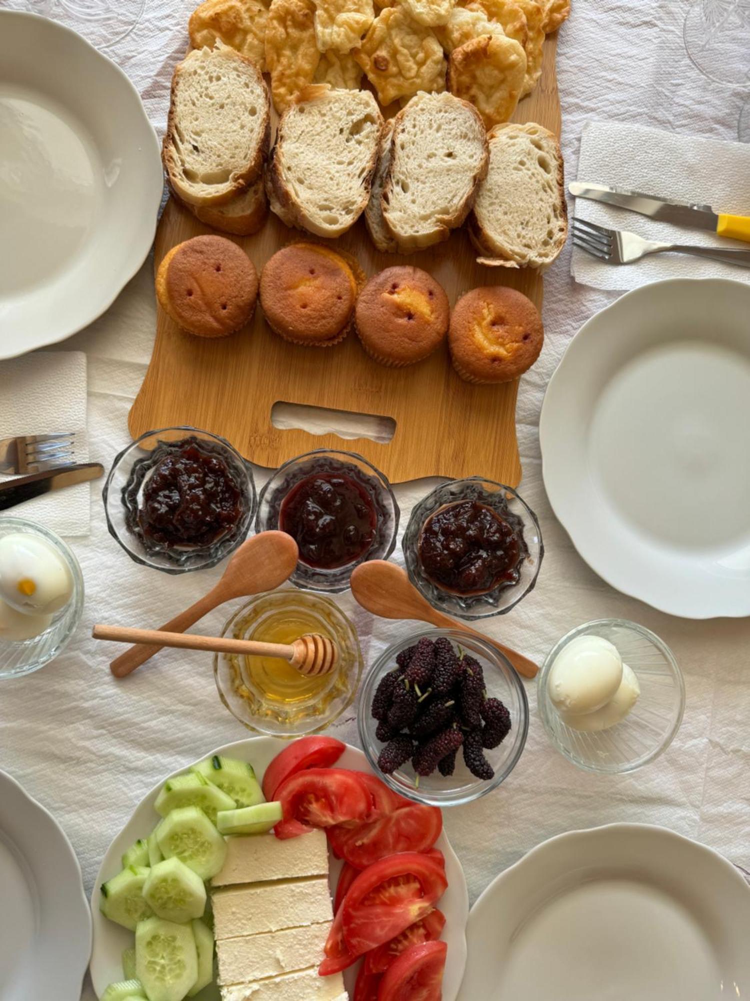 Qyteza Guest House & Camping Shkodër Buitenkant foto